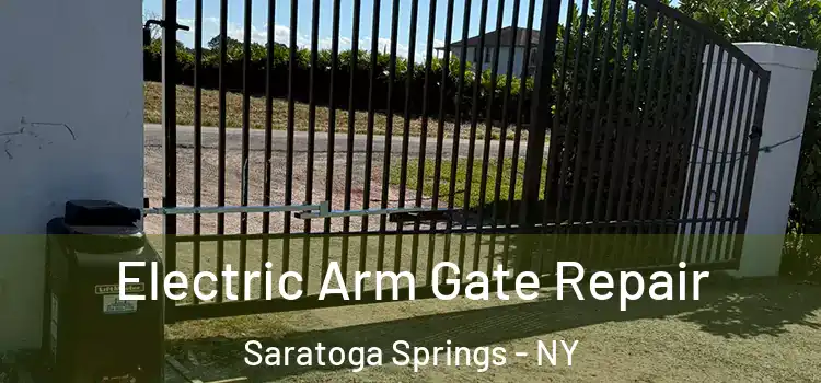  Electric Arm Gate Repair Saratoga Springs - NY